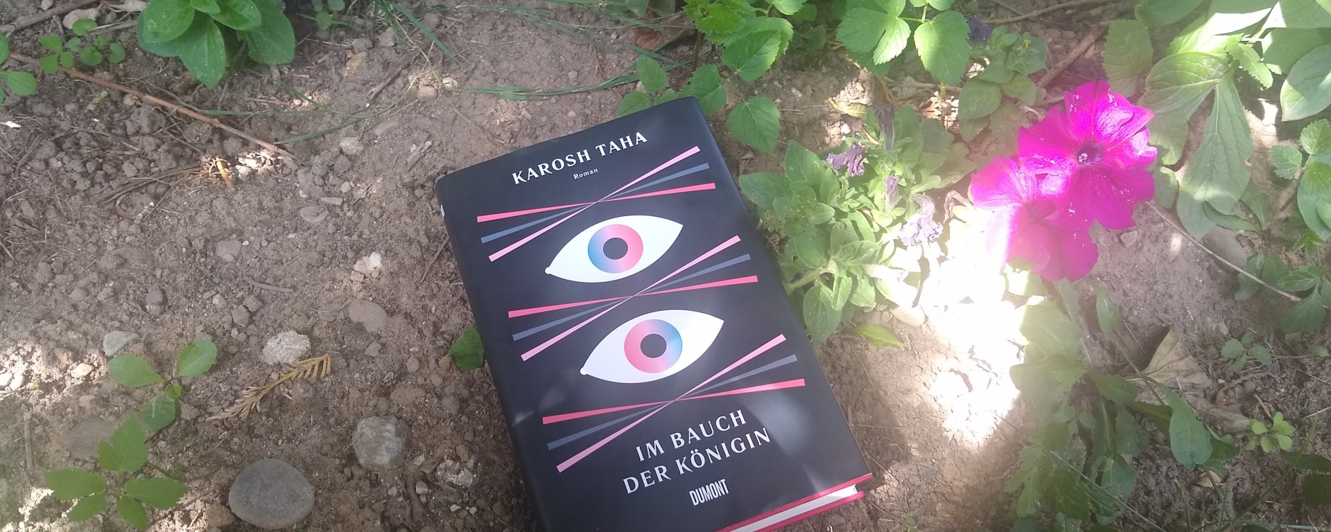 Buch "Im Bauch der Königin" im Blumenbeet